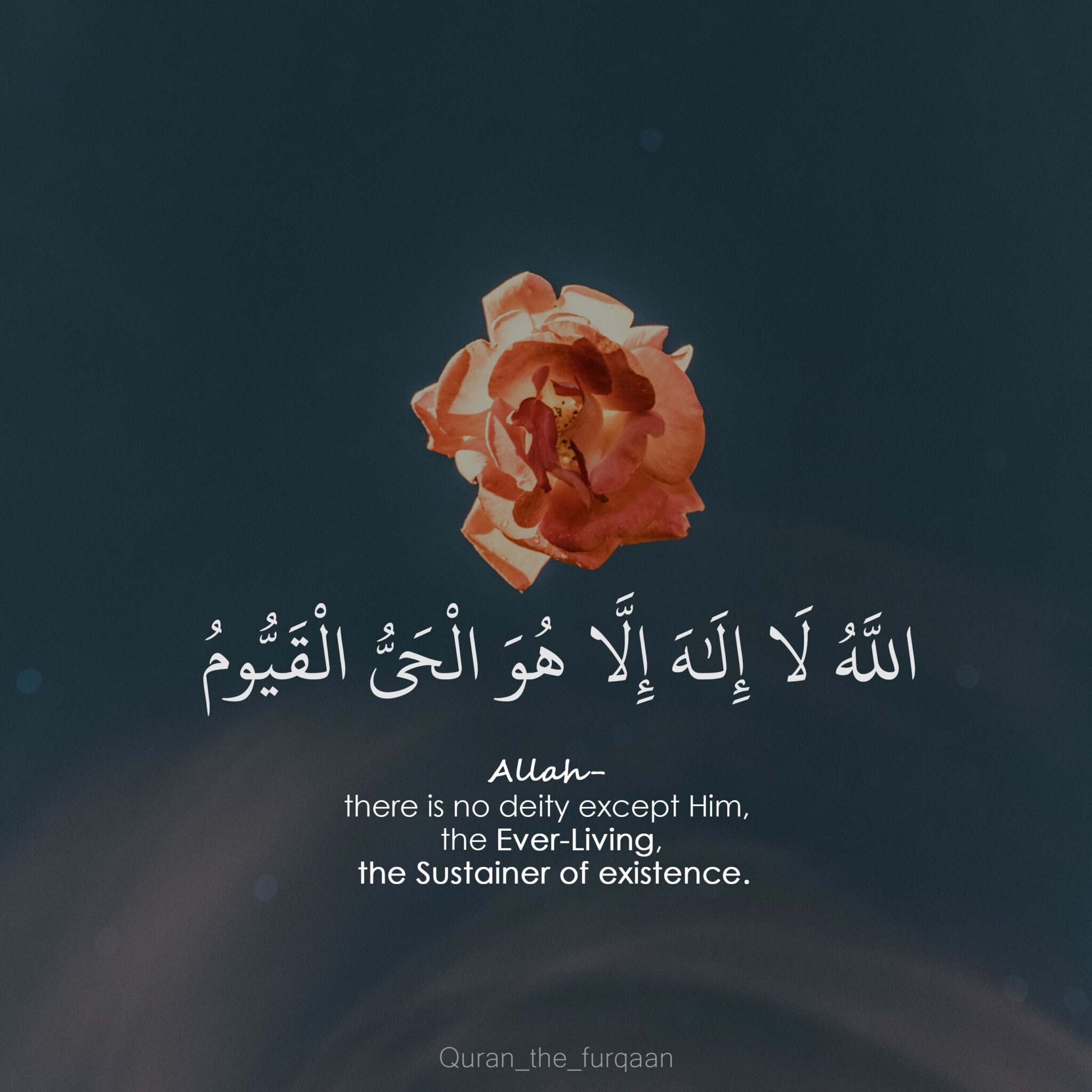 40 Delightful Quran Quotes With Unique Pictures The Quran Guides 3770