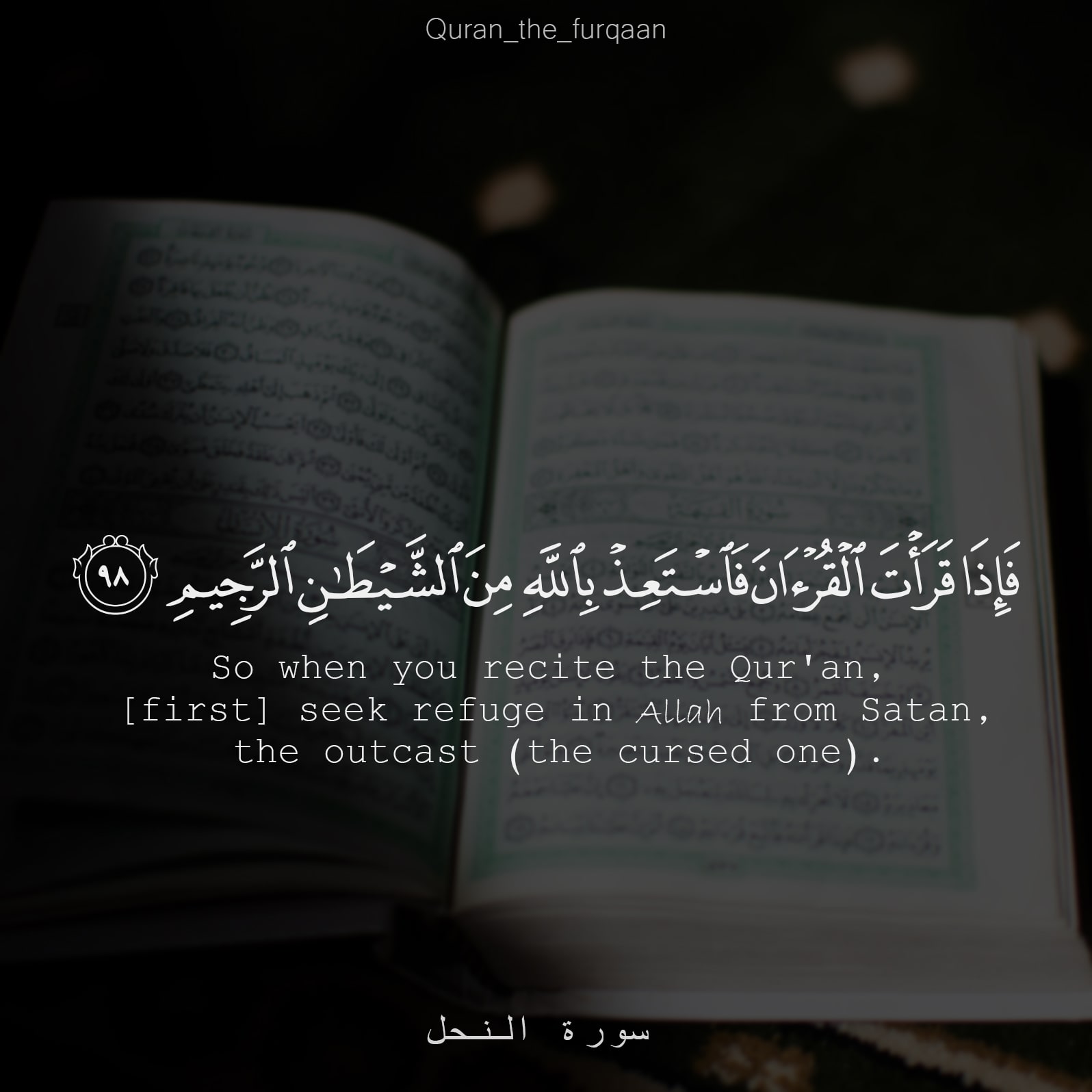 40+ Delightful Quran Quotes [with unique pictures] - The Quran Guides