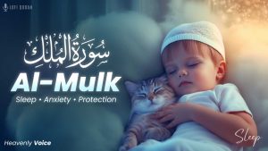 surah mulk deep sleep